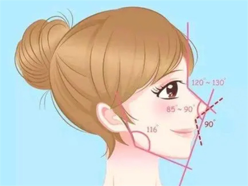 鼻部整形角度图