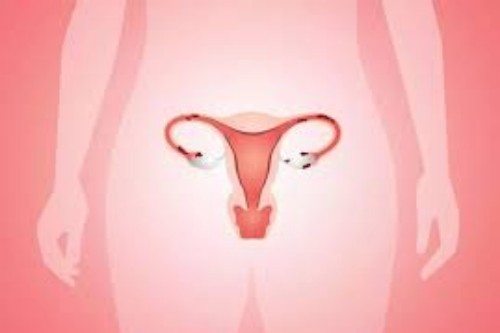 女性私密健康宣传图