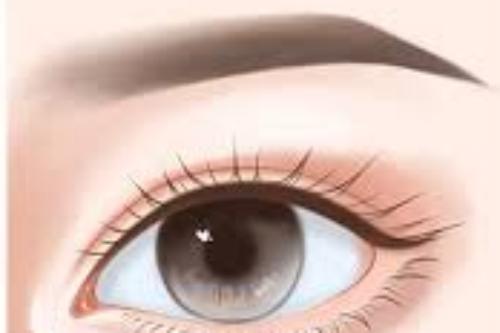 纹眉的价格一般多少钱