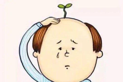 植发卡通图