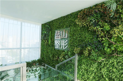保定蓝山医疗美容 保定蓝山医疗美容