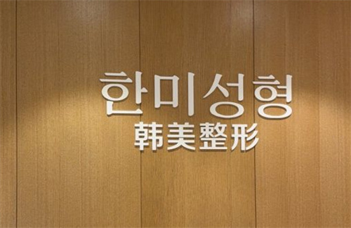 南昌韩美整形logo