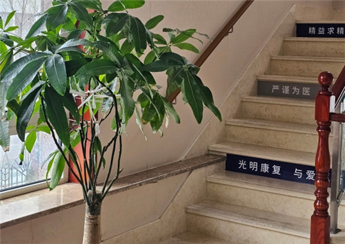 大连中爱眼科环境图2