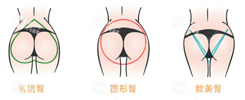 多种臀部形态素材图片