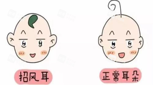 耳朵对比