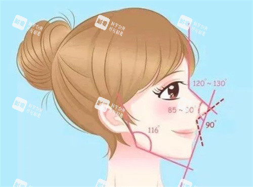 隆鼻的比例