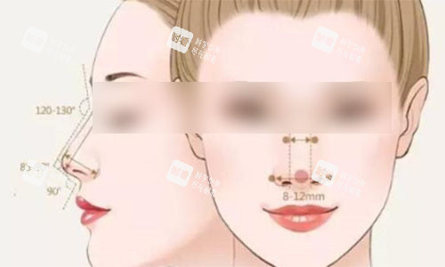 隆鼻标准对比