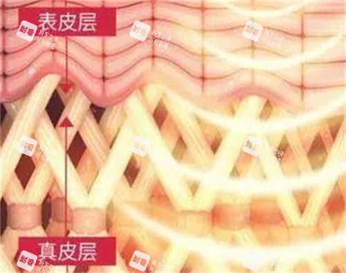 作用层次