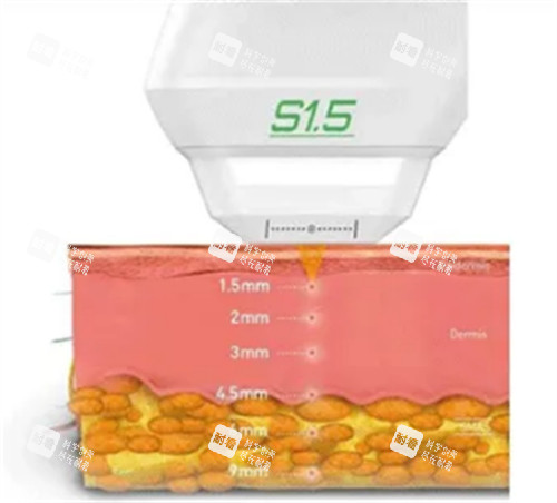 可以深入的皮肤层次图解