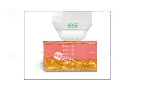双逆博士的示意图