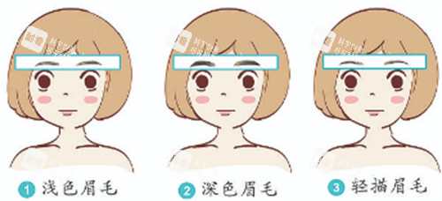 纹眉眉形