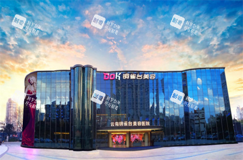 云南昆明铜雀台医疗美容外观