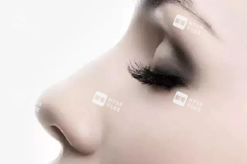 好看的鼻子