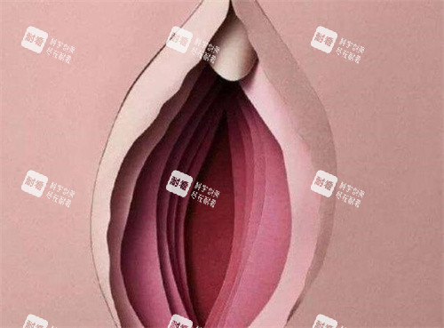 处女膜抽象演示图