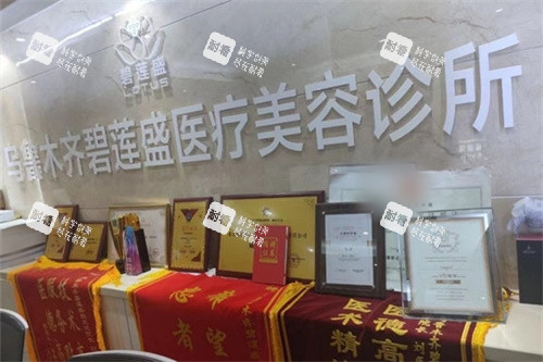 乌鲁木齐碧莲盛植发荣誉展示区