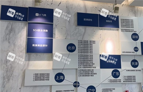 重庆郑荃丽格医疗美容宣传墙