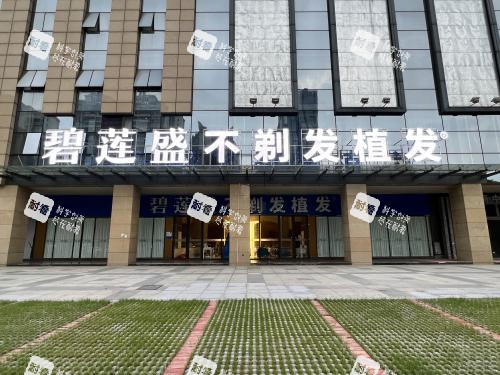 佛山碧莲盛植发外观照