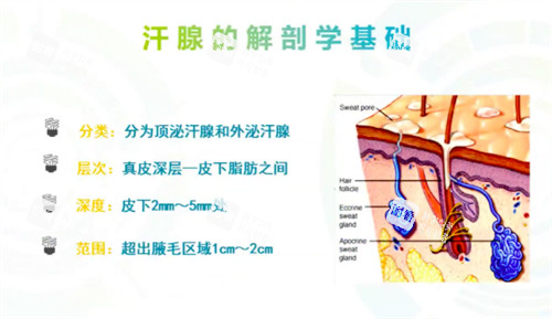 miraDry清新微波治疗层次