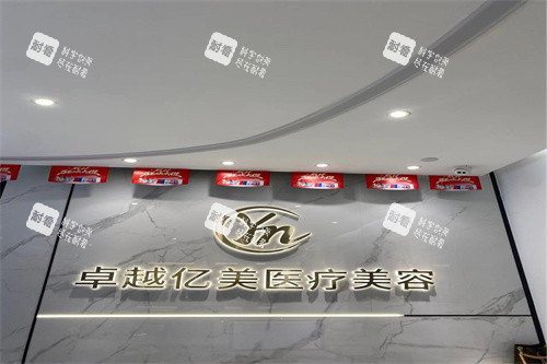 深圳卓 越亿美LOGO墙