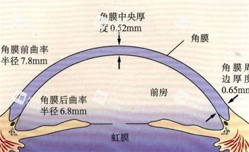 角膜厚度检查