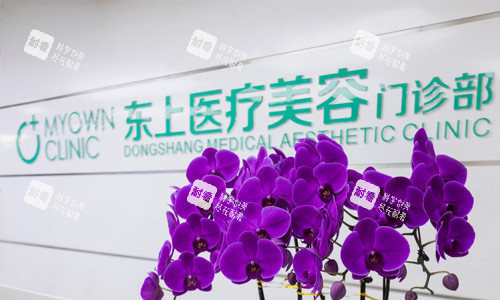 重庆东上医疗美容logo墙