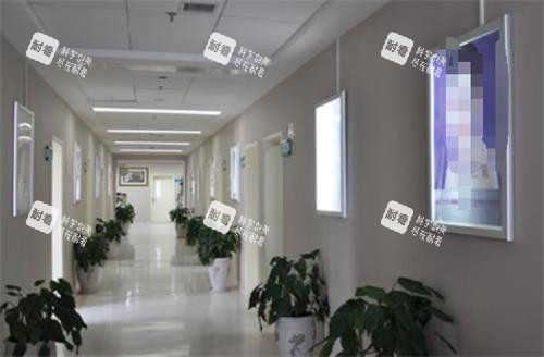 成都西区整形走廊环境