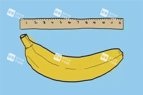 男性私密卡通图