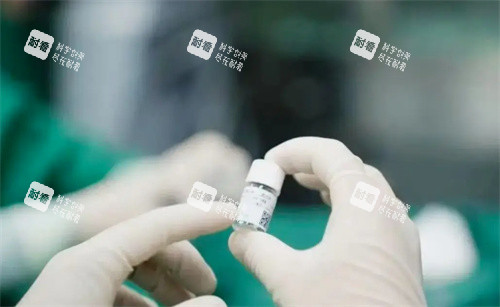 龙晶PR晶体术中实拍 龙晶PR晶体术中实拍