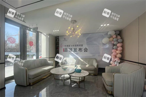 石家庄喜盟荟医疗美容沙发