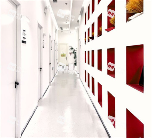 北京荔颜荔禾医疗美容院内走廊环境