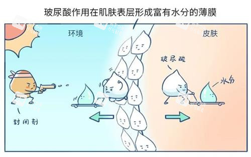 玻尿酸作用示意图