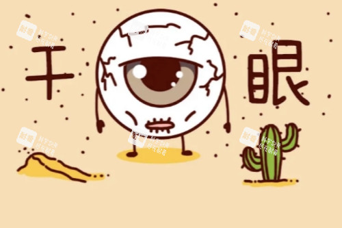 干眼症 干眼症
