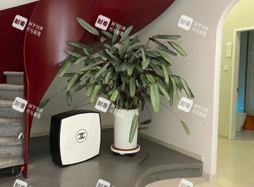 南昌兰积整形楼梯处示意图