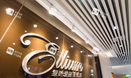 烟台爱丽美整形LOGO 烟台爱丽美整形LOGO