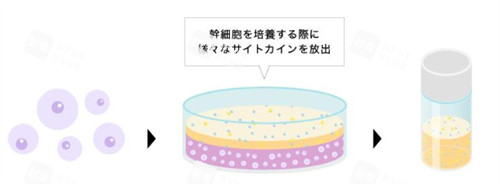 日本上清液成分 日本上清液成分