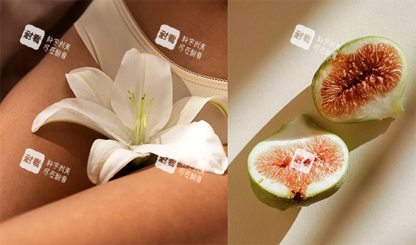 女性私密整形示意变化图 女性私密整形示意变化图