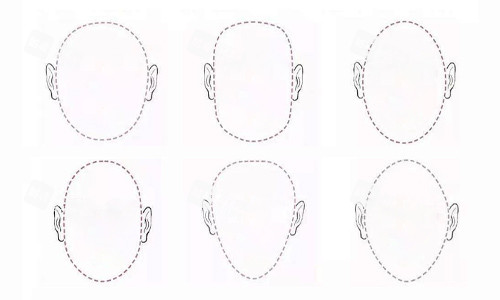 不同的头型展示