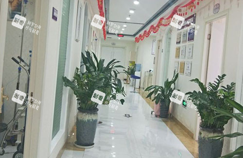 金华丽都整形走廊环境图