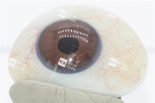 义眼的照片 义眼的照片