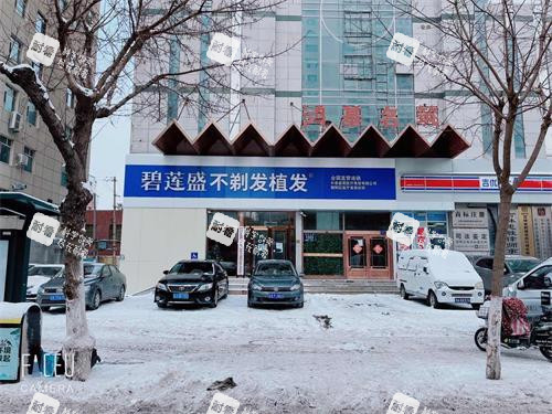 长春碧莲盛植发外部环境示意图