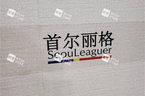 上海首尔 丽格医疗美容医院品牌图 上海首尔 丽格医疗美容医院品牌图