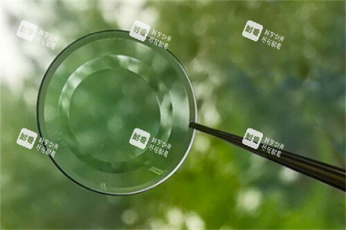 普诺瞳角膜塑形镜图示