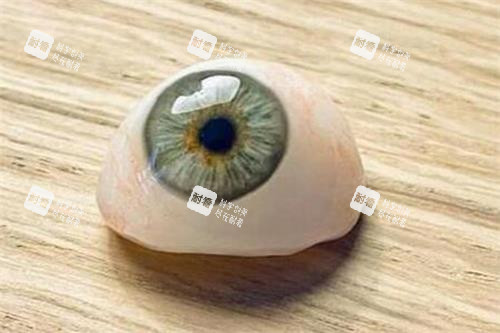 义眼片材料照片 义眼片材料照片