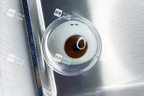 义眼片展示图照片 义眼片展示图照片