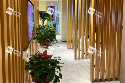 长沙艺星整形走廊