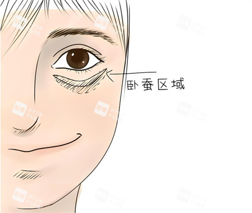 卧蚕图示 卧蚕图示