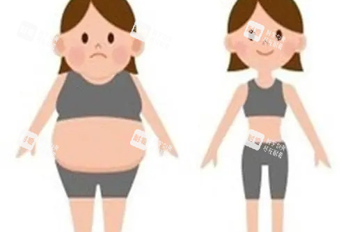 吸脂卡通对比图