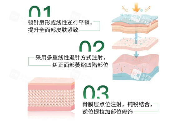 艾维岚注射皮肤层级图片