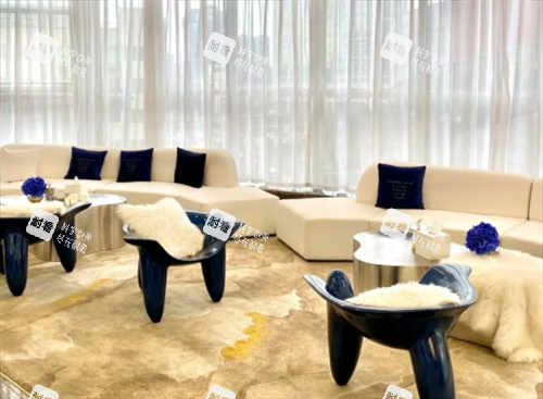 成都莱瑞拉威塑医疗美容医院沙发休息区