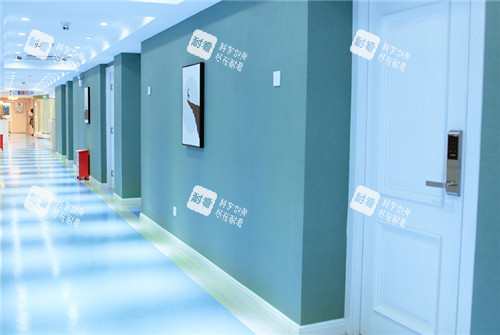 昆明华美美莱整形走廊环境一角